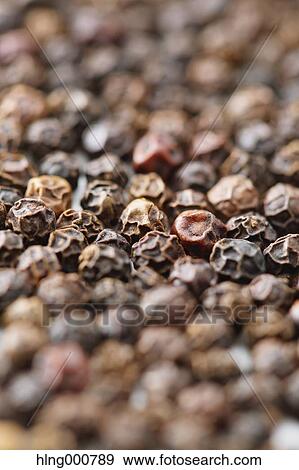 Black Pepper View Large Photo Image Stock Photo - Black Pepper. Fotosearch