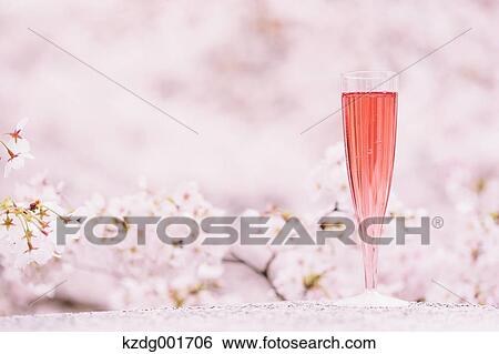 Stock Photograph - Champagne and cherry blossoms. Fotosearch