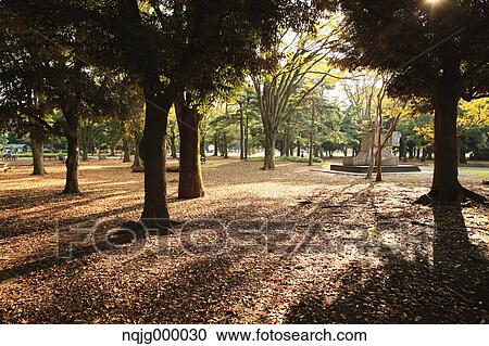 City park in Autumn View Large Photo Image Stock Image - City park in Autumn. Fotosearch