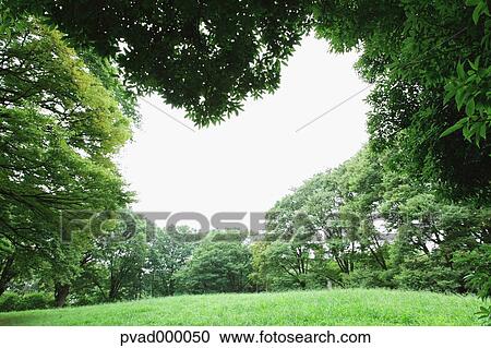 Grassland and sky in a park View Large Photo Image Stock Image - Grassland and sky in a park. Fotosearch
