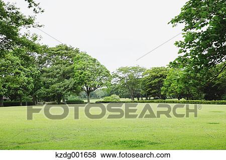Stock Photo - Grassland and sky in a park. Fotosearch