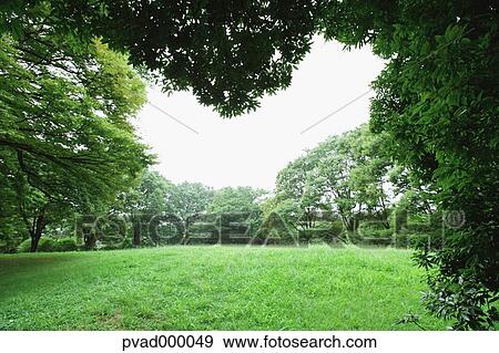 Grassland and sky in a park View Large Photo Image Stock Photo - Grassland and sky in a park. Fotosearch