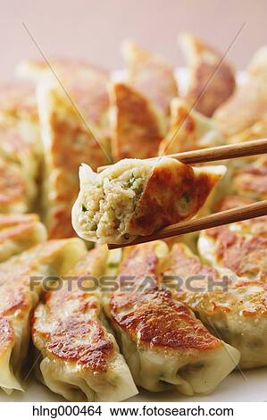 Picture - Gyoza dumplings. Fotosearch