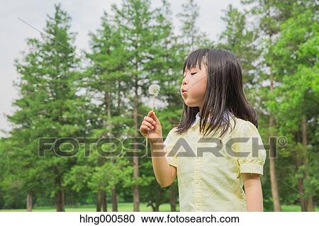 Stock Image - Japanese kid blowing dandelion in a park. Fotosearch