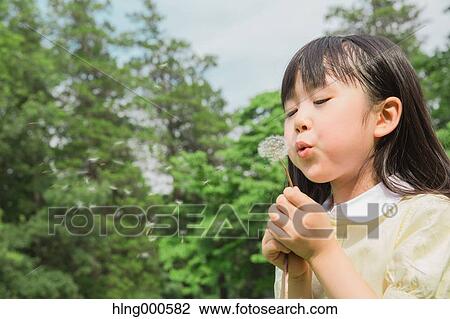 Japanese kid blowing dandelion in a park View Large Photo Image Stock Image - Japanese kid blowing dandelion in a park. Fotosearch