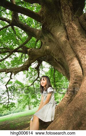 Japanese kid sitting on big tree in a park View Large Photo Image Picture - Japanese kid sitting on big tree in a park. Fotosearch