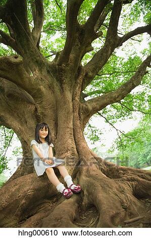 Japanese kid sitting on big tree in a park View Large Photo Image Stock Image - Japanese kid sitting on big tree in a park. Fotosearch