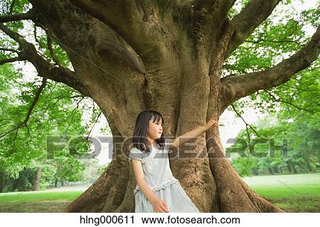 Japanese kid sitting on big tree in a park View Large Photo Image Stock Image - Japanese kid sitting on big tree in a park. Fotosearch