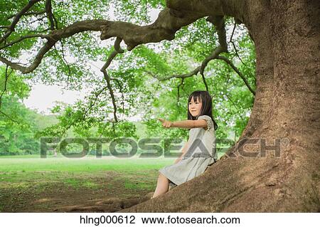 Japanese kid sitting on big tree in a park View Large Photo Image Stock Image - Japanese kid sitting on big tree in a park. Fotosearch
