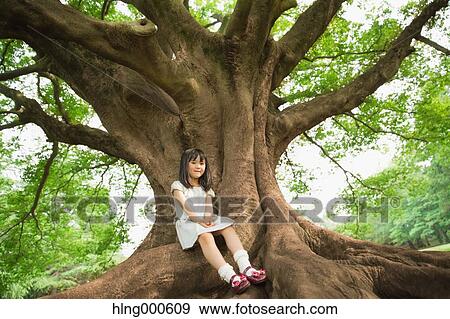 Stock Photo - Japanese kid sitting on big tree in a park. Fotosearch