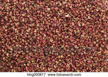 Japanese Pepper View Large Photo Image Stock Photo - Japanese Pepper. Fotosearch