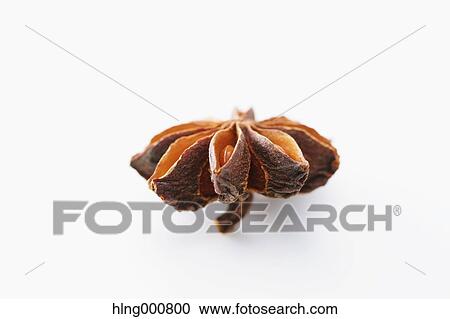 Star Anise View Large Photo Image Stock Image - Star Anise. Fotosearch