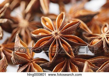Star Anise View Large Photo Image Stock Image - Star Anise. Fotosearch
