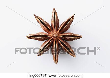 Star Anise View Large Photo Image Stock Photo - Star Anise. Fotosearch