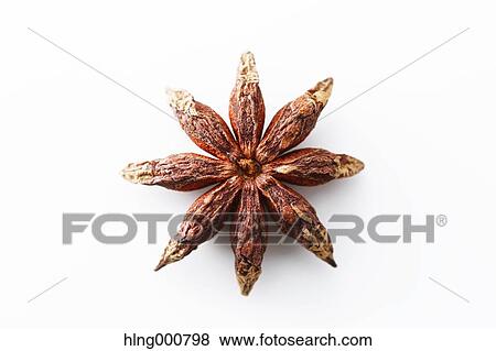 Star Anise View Large Photo Image Stock Photo - Star Anise. Fotosearch