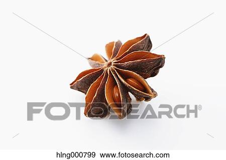 Star Anise View Large Photo Image Stock Photo - Star Anise. Fotosearch