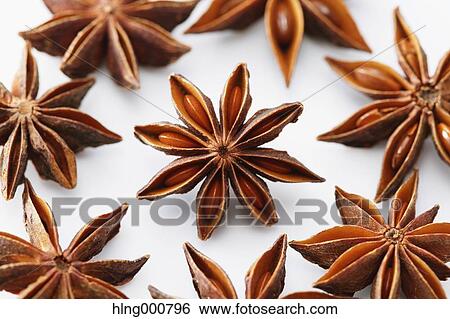 Star Anise View Large Photo Image Stock Photograph - Star Anise. Fotosearch