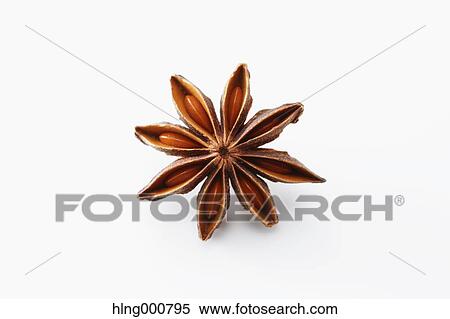 Stock Photography - Star Anise. Fotosearch