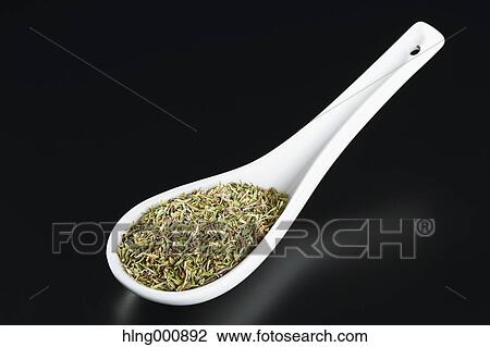 Stock Image - Time. Fotosearch