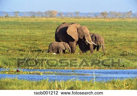 Africa View Large Photo Image Stock Image - Africa. Fotosearch