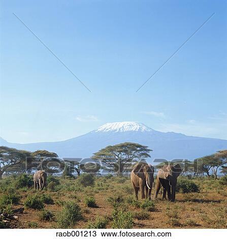 Africa View Large Photo Image Stock Image - Africa. Fotosearch