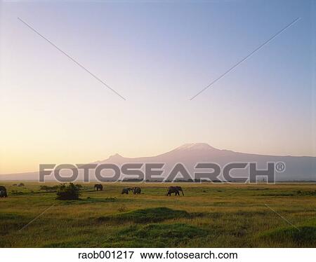 Africa View Large Photo Image Stock Photo - Africa. Fotosearch
