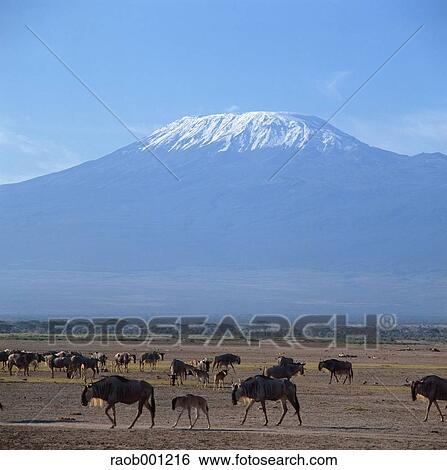 Africa View Large Photo Image Stock Photograph - Africa. Fotosearch