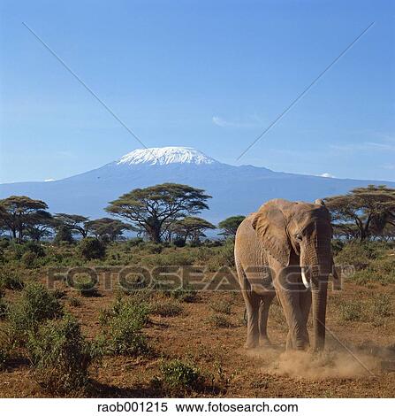 Africa View Large Photo Image Stock Photography - Africa. Fotosearch