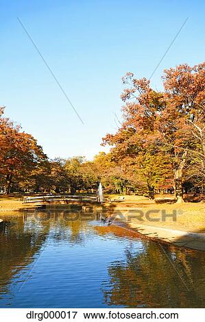 Stock Photo - "Autumn in Yoyogi Park, Tokyo, Japan". Fotosearch