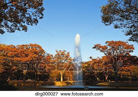 Stock Photo - "Autumn in Yoyogi Park, Tokyo, Japan". Fotosearch
