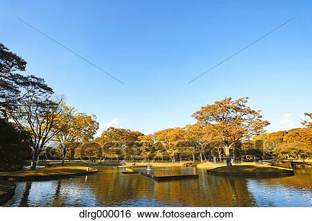 "Autumn in Yoyogi Park, Tokyo, Japan" View Large Photo Image Stock Photograph - "Autumn in Yoyogi Park, Tokyo, Japan". Fotosearch