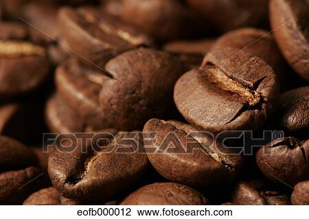 Coffee beans View Large Photo Image Stock Image - Coffee beans. Fotosearch