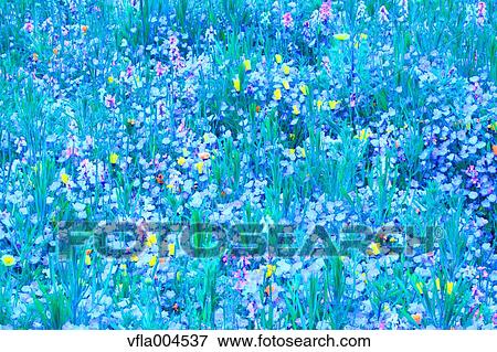 Stock Photo - Flower garden. Fotosearch