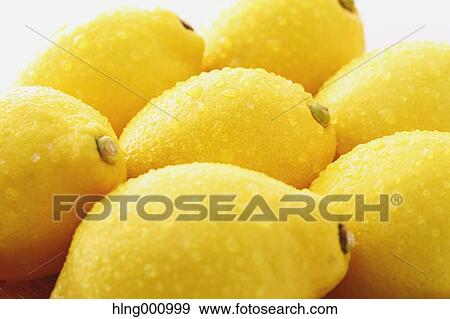 Fresh Lemons View Large Photo Image Stock Photo - Fresh Lemons. Fotosearch