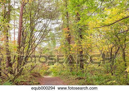 Picture - "Fukushima Prefecture, Japan". Fotosearch