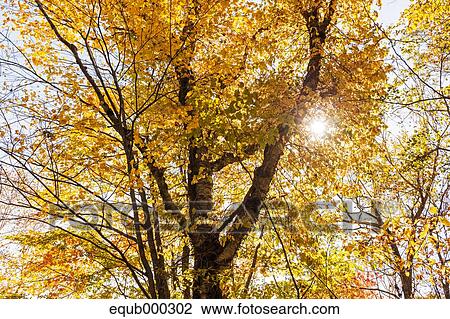 Stock Image - "Fukushima Prefecture, Japan". Fotosearch
