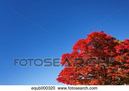 Stock Image - "Fukushima Prefecture, Japan". Fotosearch