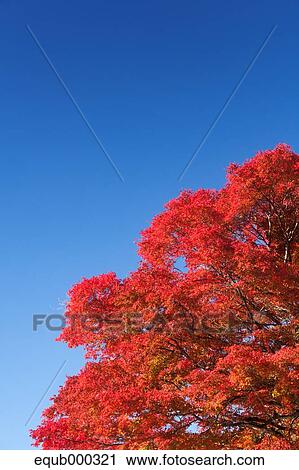 "Fukushima Prefecture, Japan" View Large Photo Image Stock Image - "Fukushima Prefecture, Japan". Fotosearch