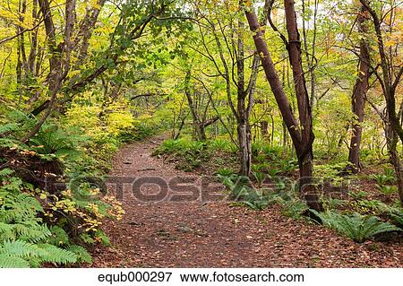 "Fukushima Prefecture, Japan" View Large Photo Image Stock Photo - "Fukushima Prefecture, Japan". Fotosearch