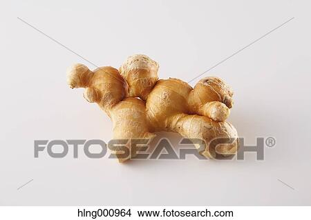 Ginger Root View Large Photo Image Picture - Ginger Root. Fotosearch