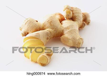 Ginger Root View Large Photo Image Picture - Ginger Root. Fotosearch