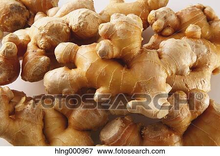 Ginger Root View Large Photo Image Stock Photo - Ginger Root. Fotosearch