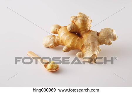 Ginger Root View Large Photo Image Stock Photo - Ginger Root. Fotosearch
