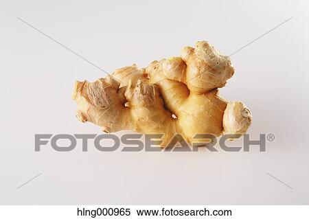 Ginger Root View Large Photo Image Stock Photography - Ginger Root. Fotosearch