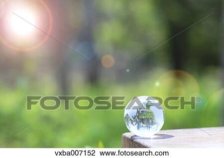Stock Image - Glass globe in a forest. Fotosearch