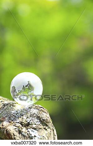 Glass globe in a forest View Large Photo Image Stock Image - Glass globe in a forest. Fotosearch