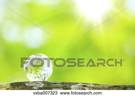 Glass globe in a forest View Large Photo Image Stock Image - Glass globe in a forest. Fotosearch