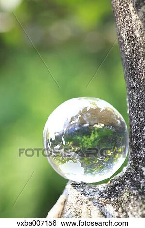 Glass globe in a forest View Large Photo Image Stock Photograph - Glass globe in a forest. Fotosearch