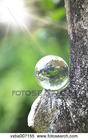 Glass globe in a forest View Large Photo Image Stock Photography - Glass globe in a forest. Fotosearch