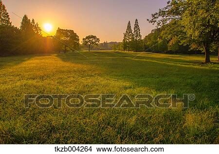 Grassland View Large Photo Image Picture - Grassland. Fotosearch